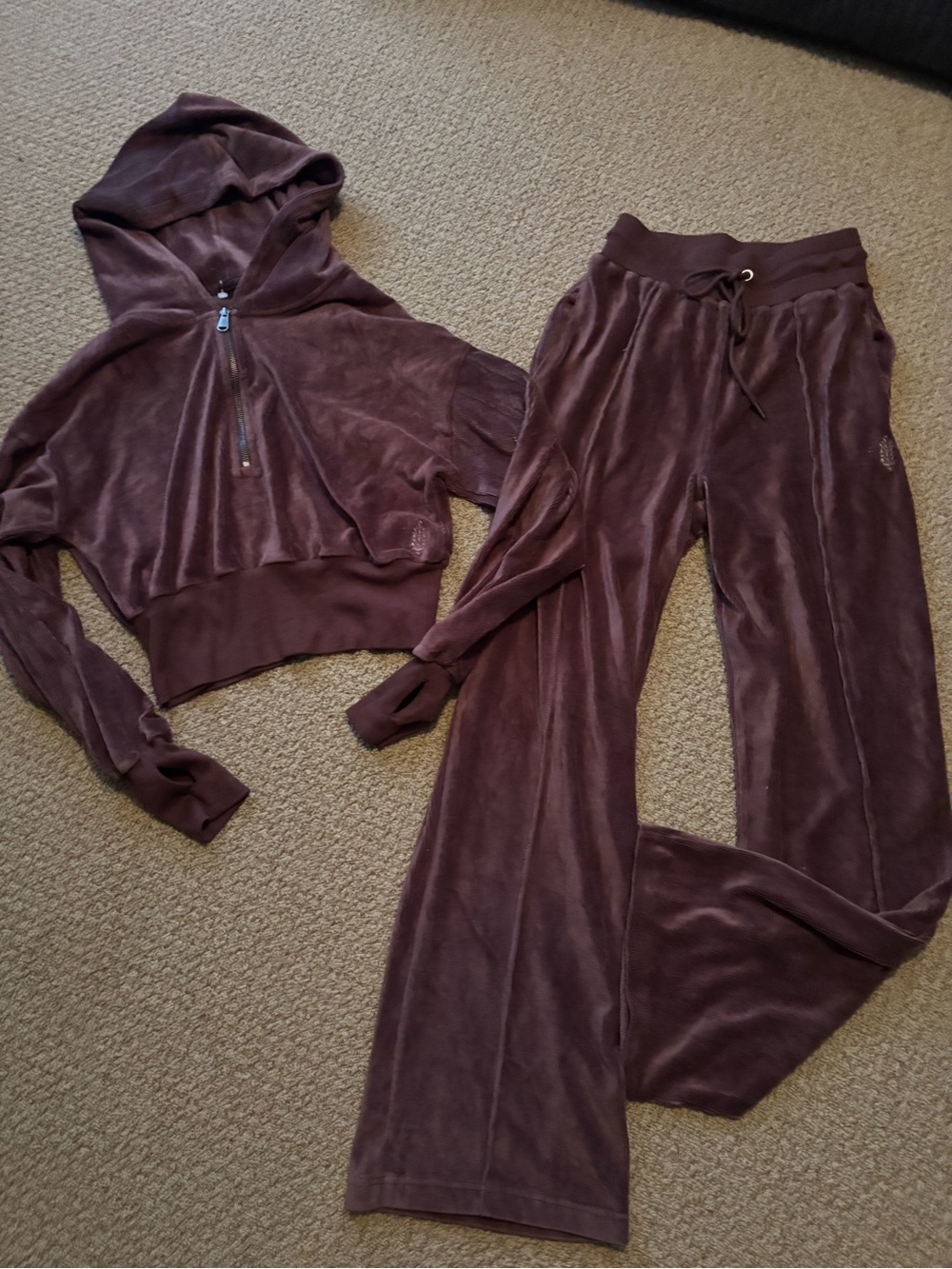 Free People Velour Cropped Hoodie & Wide-Leg Joggers Set in Brown